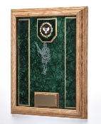 Deluxe Awards Display Case Awards Display shadowbox, Military Award Frame