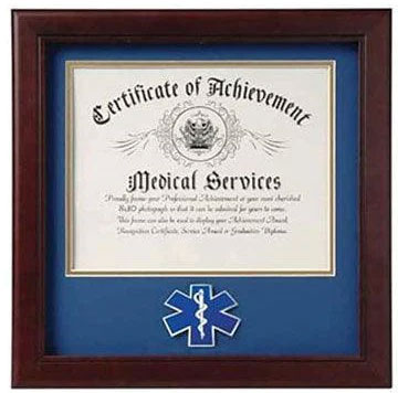 Air Force Medallion Presidential Memorial Certificate Frame