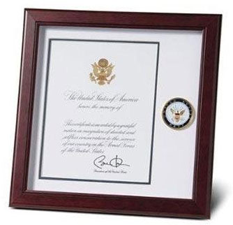 U.S. Navy Medallion Certificate and Medal Frame